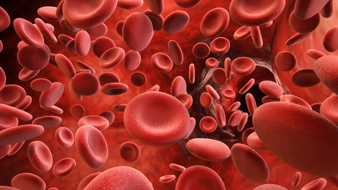 Hipercalcemia no Câncer: Causas, Sintomas e Como Tratar essa Emergência Oncológica · imagem ilustrativa